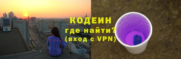 соль ск Белокуриха