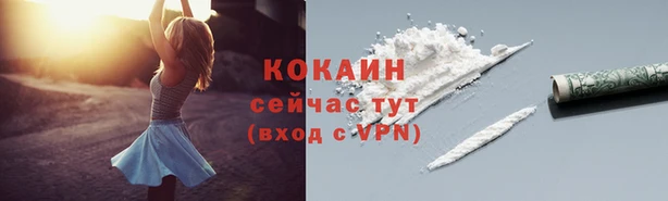 соль ск Белокуриха