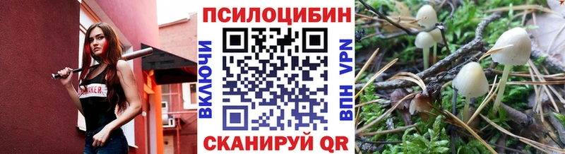 Псилоцибиновые грибы Psilocybine cubensis  Орск 
