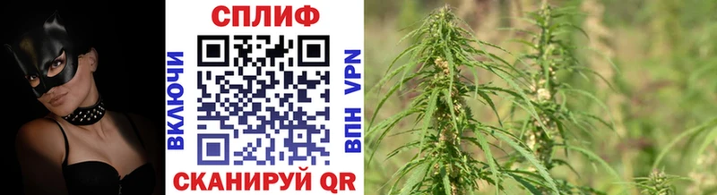 Бошки Шишки гибрид  наркотики  Орск 